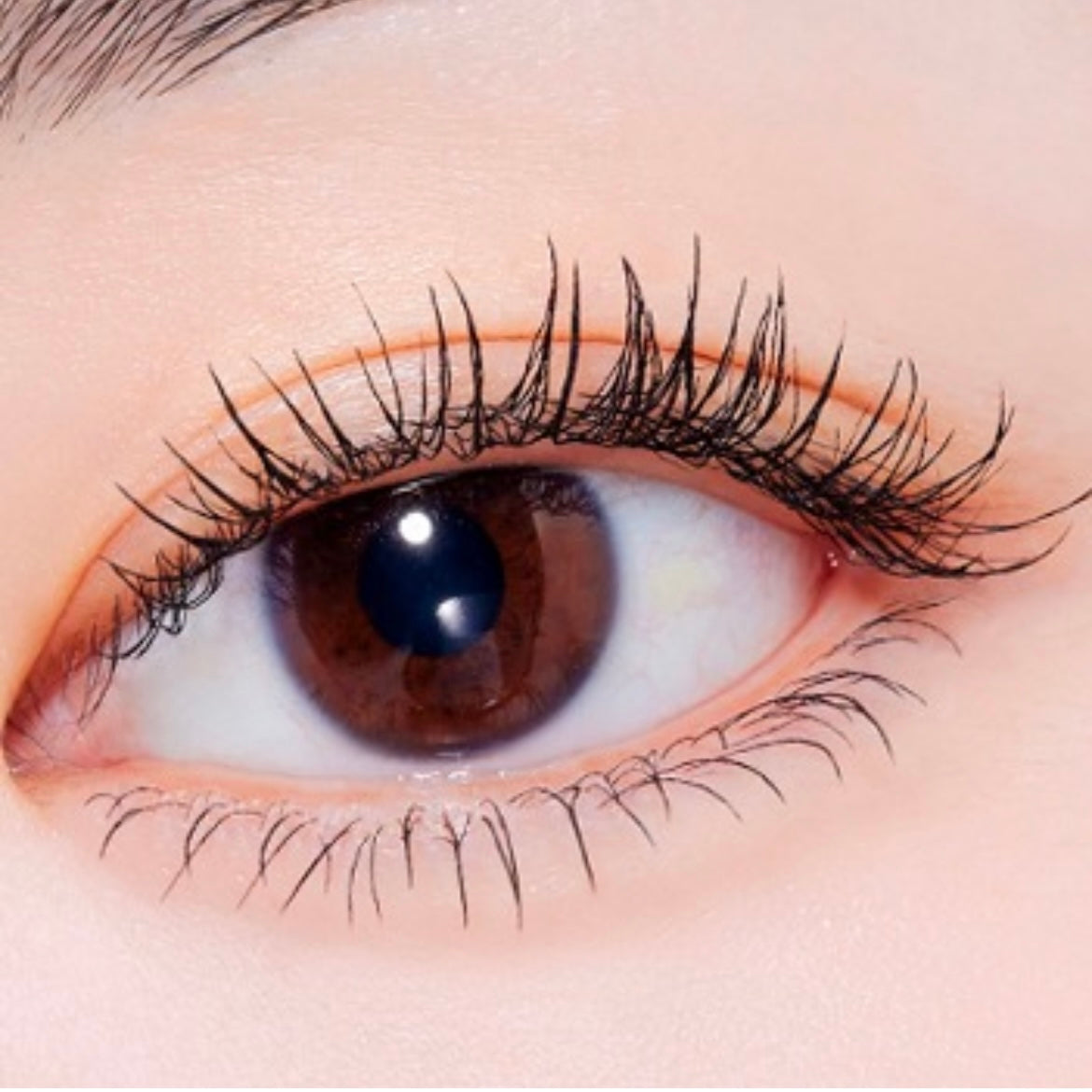 etude - curl fix mascara + curler