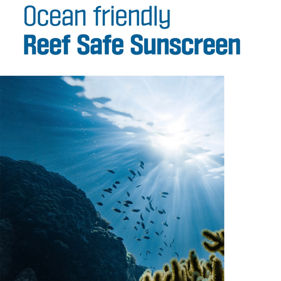 roundlab - birch juice sunscreen 50ml